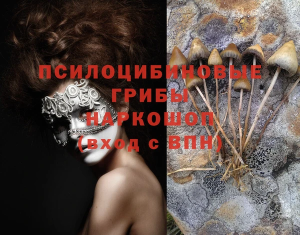 не бодяженный Вязники