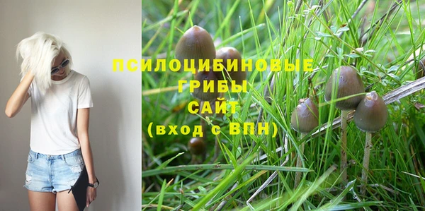 дмт Вязьма